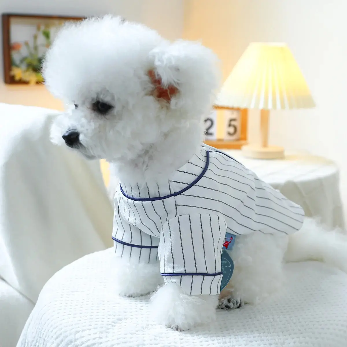 Dog Accessories for Small Dogs Luxury Clothes Sweatshirt French Bulldog Puppy Summer Dresses Cute Pets Products Goods Dress Pet