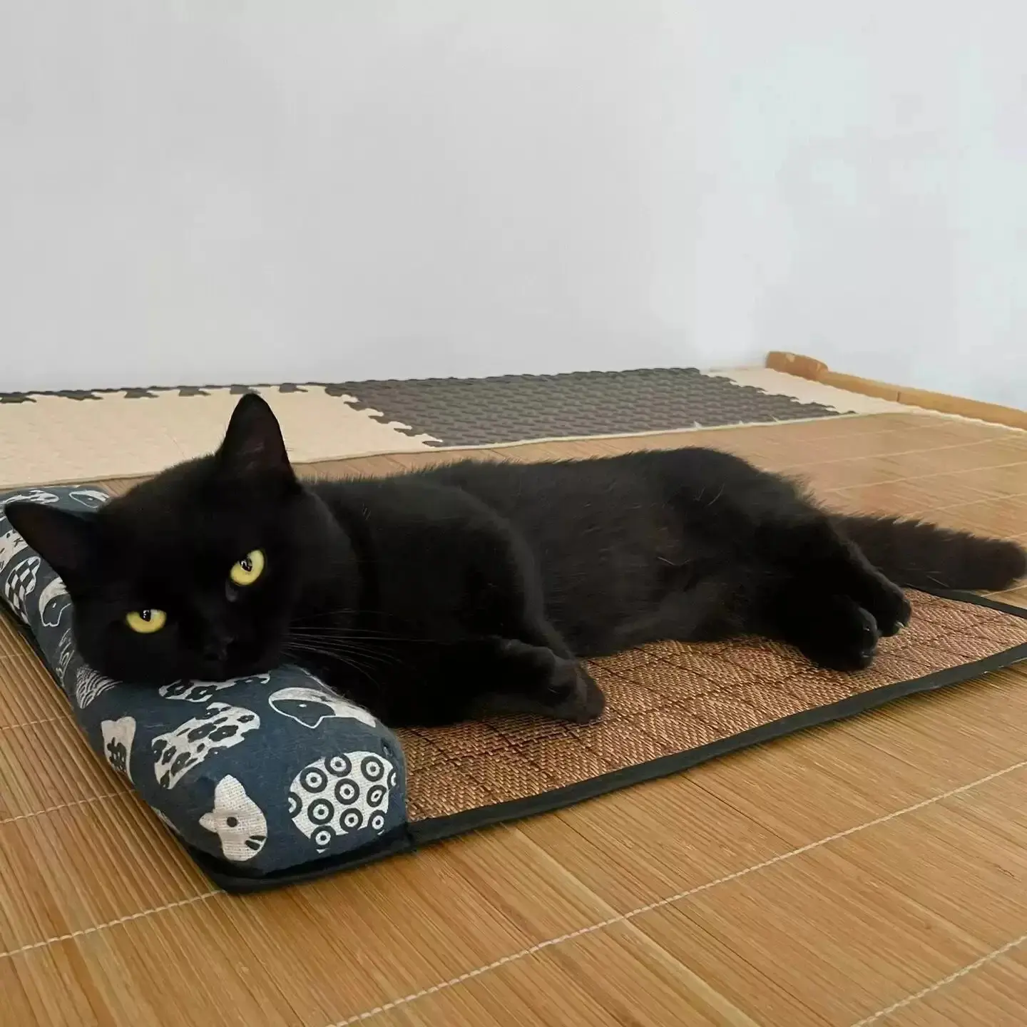 Cooling Mat Cats Accessories Summer All Scratcher With a House Pet Products the Tray Things Furniture So Pets Beds Mats Animal
