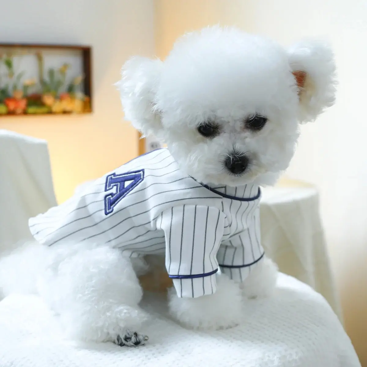 Dog Accessories for Small Dogs Luxury Clothes Sweatshirt French Bulldog Puppy Summer Dresses Cute Pets Products Goods Dress Pet
