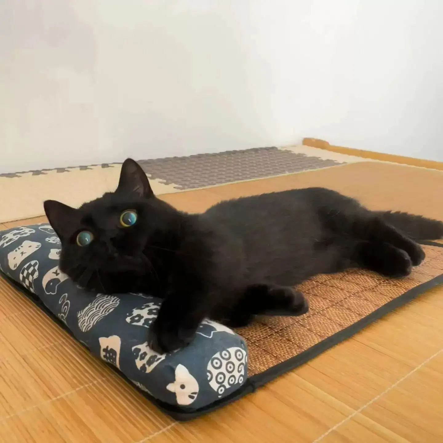 Cooling Mat Cats Accessories Summer All Scratcher With a House Pet Products the Tray Things Furniture So Pets Beds Mats Animal