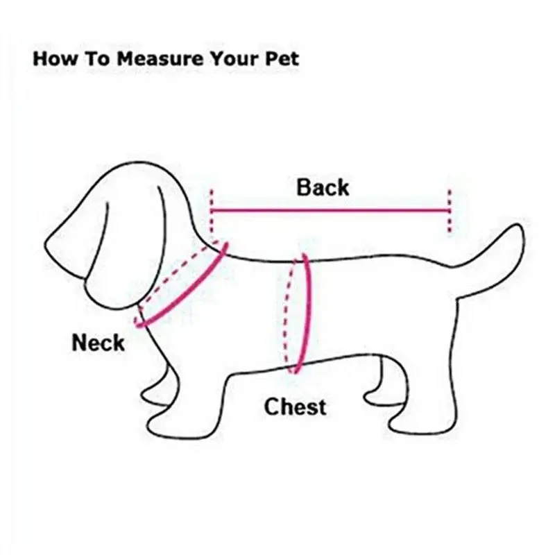 Puppy Summer Clothes Dog Clothing Accessories Small Dogs Luxury York Winter Pet Supplies Pets Acessorios Products Chihuahua Soft