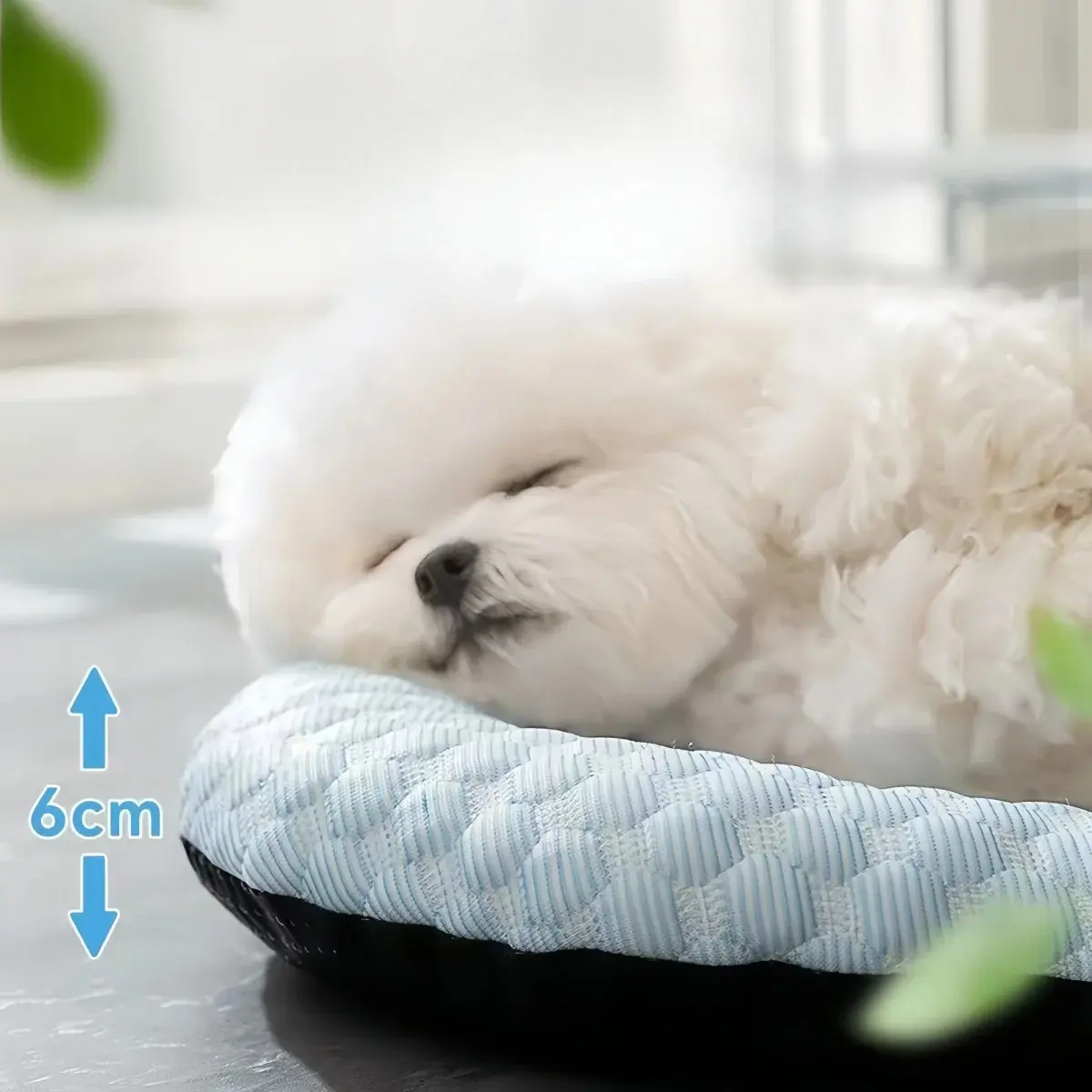 Cooling Mat Dog Accesories Summer Kennel Sofa Baby Bed Pet Beds for Small Dogs Products Cushion Accessories So Pets House Indoor