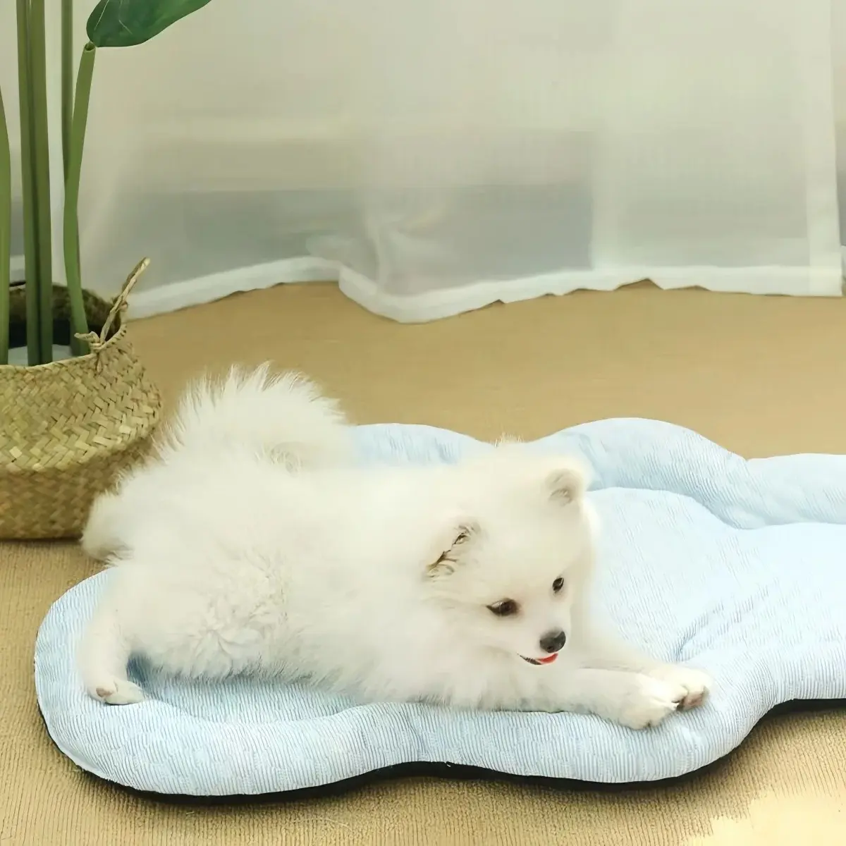 Cooling Mat Dog Accesories Summer Kennel Sofa Baby Bed Pet Beds for Small Dogs Products Cushion Accessories So Pets House Indoor
