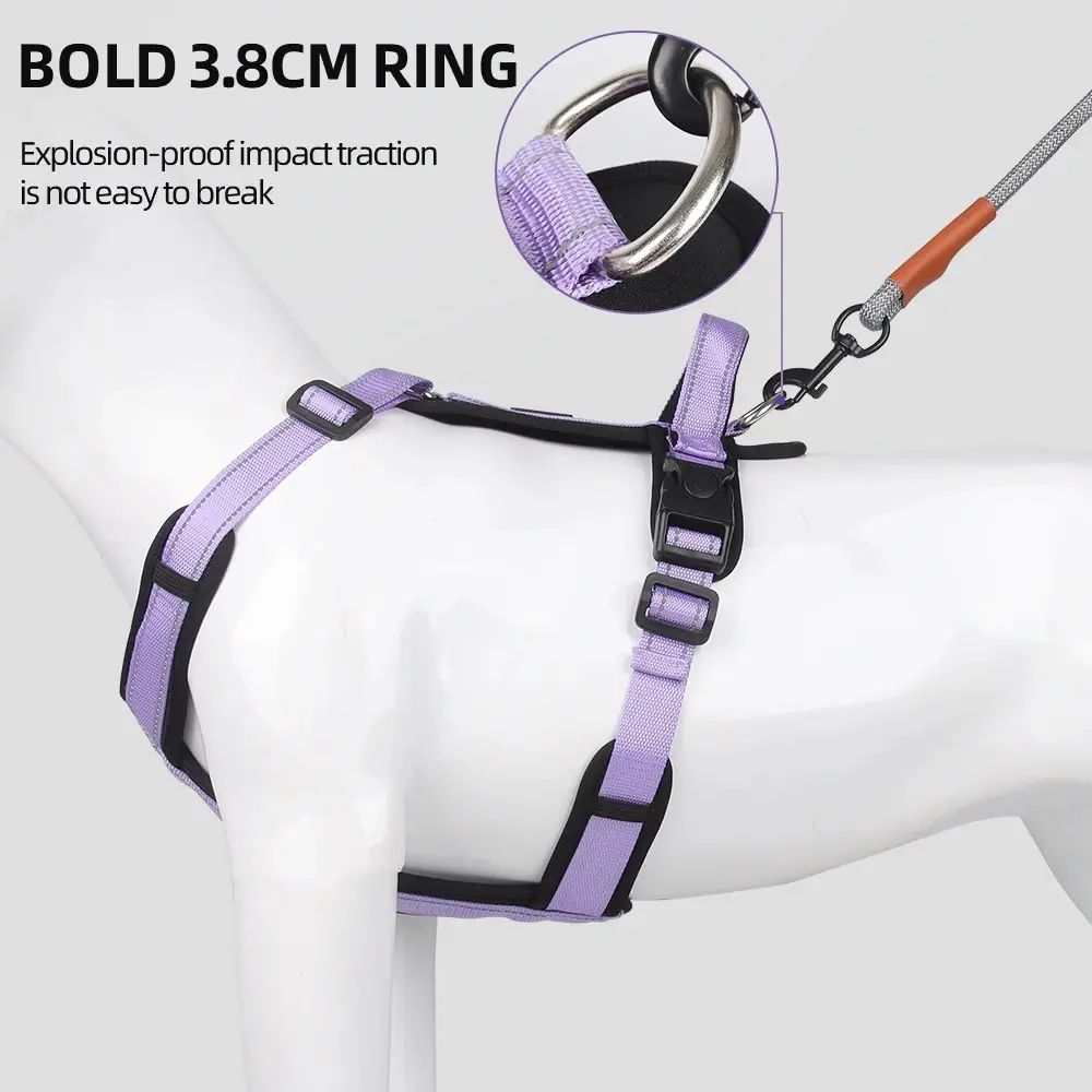 Harnesses and Wears Necklaces Harness With Dog Leash Classic Medium Small Dogs Pet Accessories Chest Puppy Collar Big Accessory