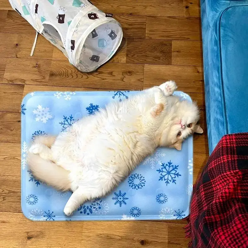 Pet Beds Cooling Cushion Covers Cats Pets Things For Animal Kitten Accessories So Dogs Bed All Little House Furniture Plush Dog