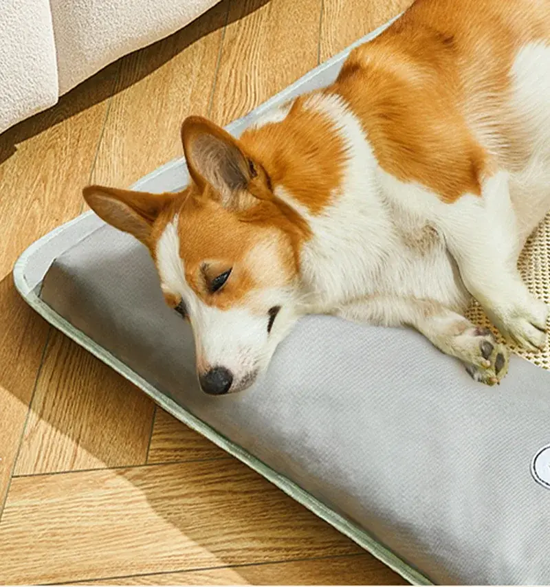 Mat Dog Cushion Cooling Pets Supplies Accessories Petty Bed Doggie for Dogs Big Mattress Large Lie Sofa Golden Retriever Small