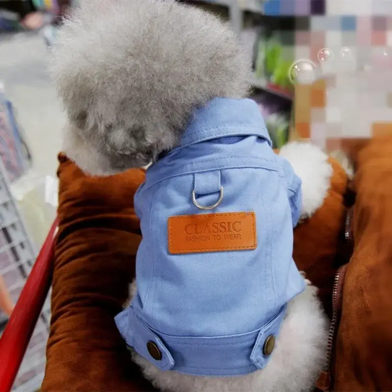Clothing for Dog Suit Dogs Dress Dachshund Puppy Clothes Corgi Medium Hoodie Costume Pet Accessories Coat Small Breeds Summer