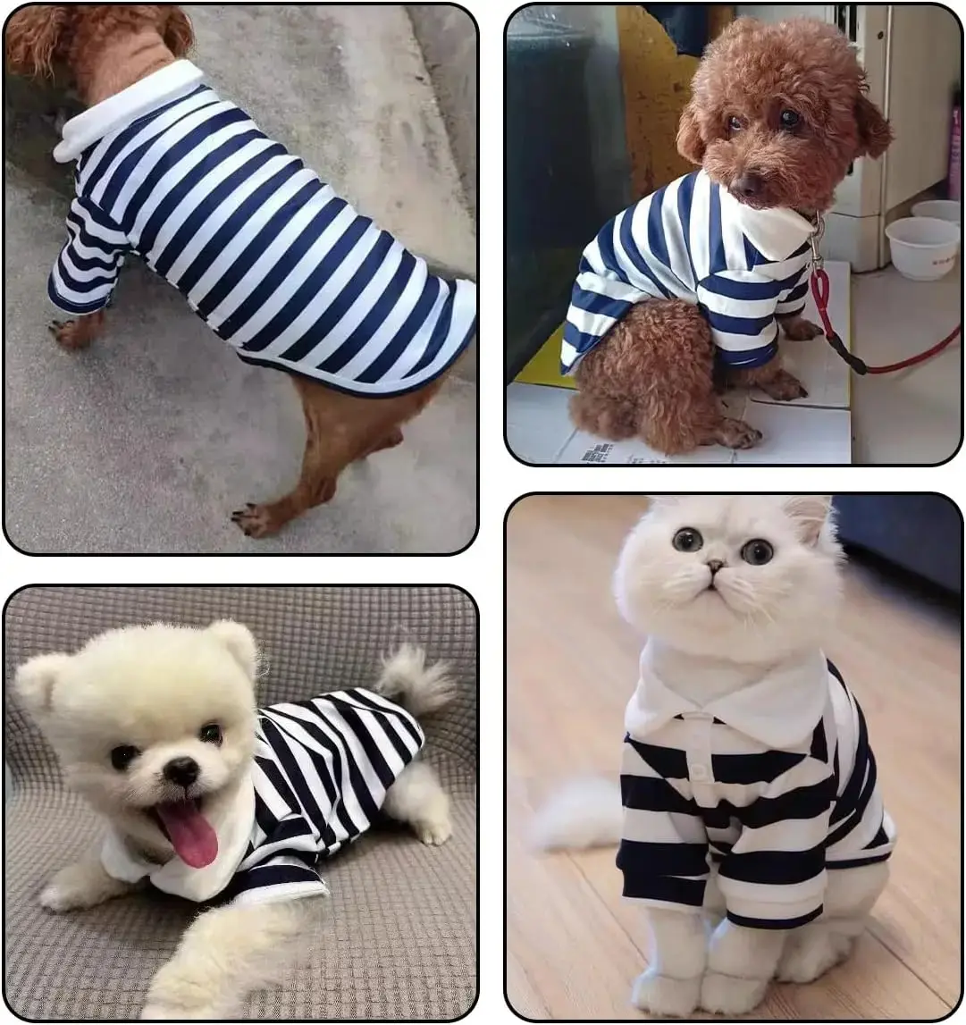 Dog Accessories for Small Dogs Sweatshirt Pug Clothing Clothes Pet Chihuahua Supplies Suit Cute Dress Luxury Coat Medium York