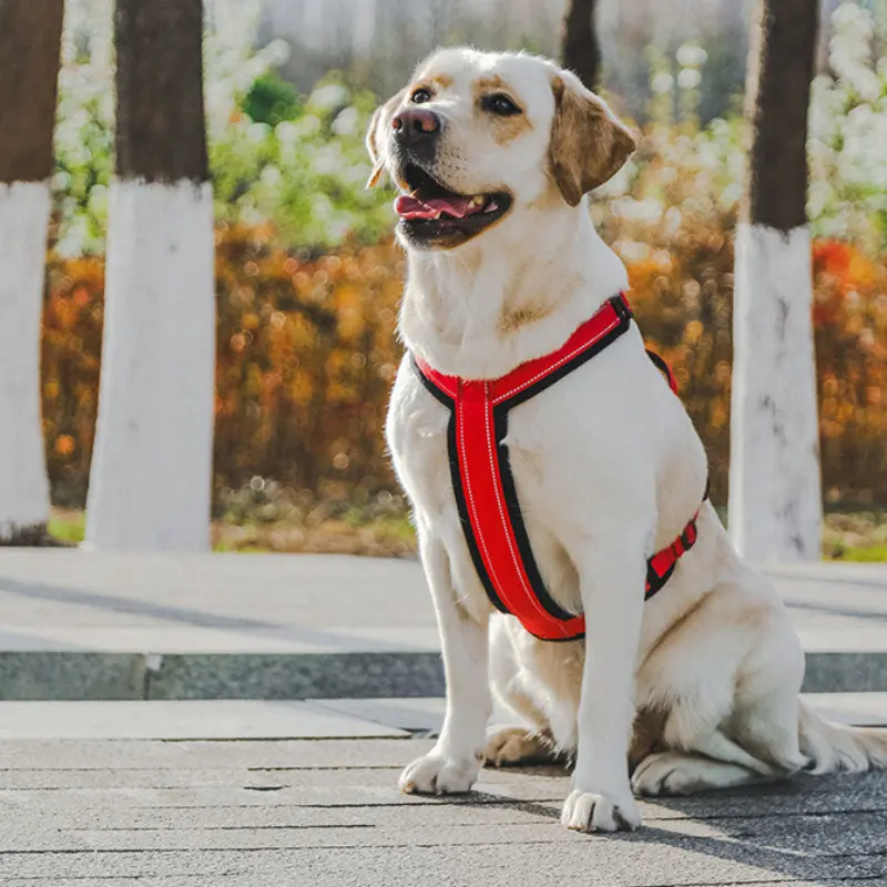 Heavy Duty Dog Harness with Front Clip Easy Control Handle for Large Dogs No Pull Walking Adjustable Pet Vest