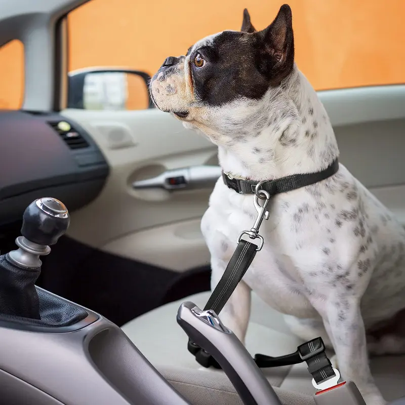 Elastic Nylon Dog Seat Belt For Small Large Dogs Adjustable Reflective Durable Lead Puppy Travel Car Safety Rope