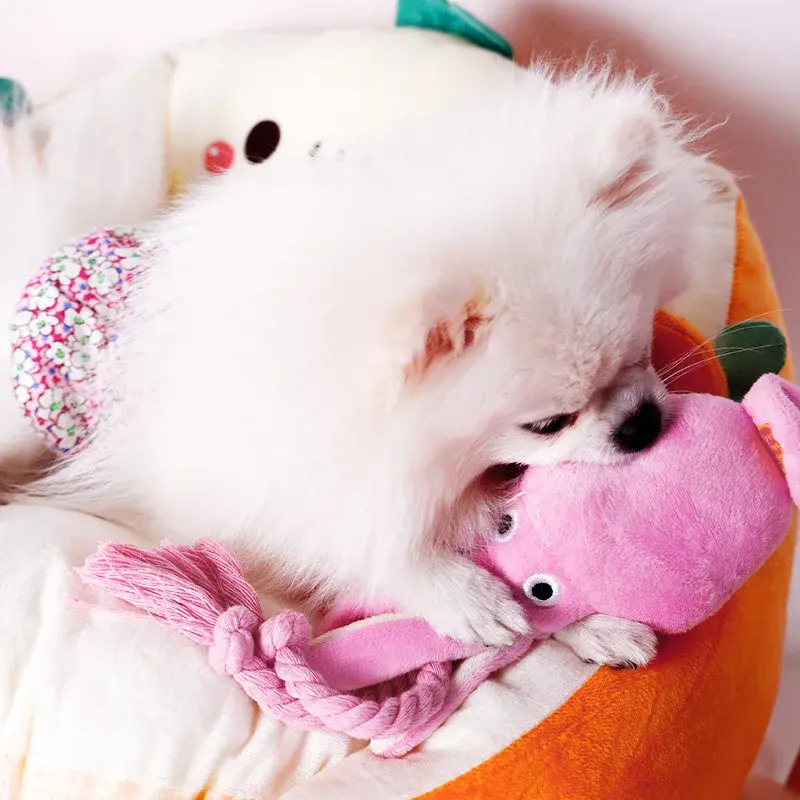 Pet Plush Toy for Small Large Dogs Cats Molar Training Squeaky Toys Octopus Shape Interactive Cotton Rope Toy Dog Accessories