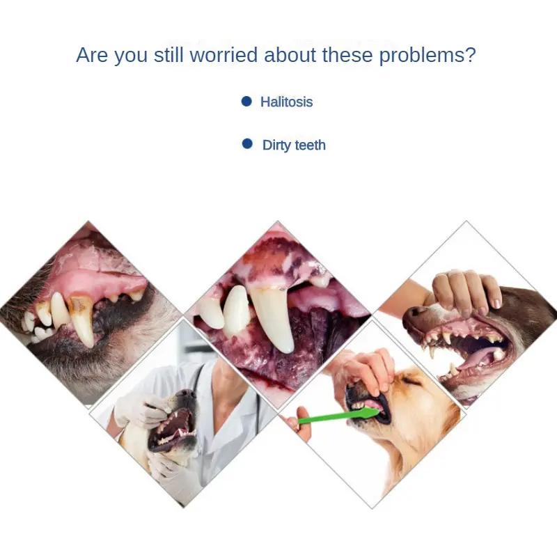 Dog Healthy Edible Toothpaste Small Dog Cats Mouth And Teeth Cleaning And Care Supplies Vanilla And Beef 2 Taste Pet Accessories