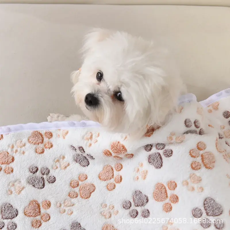 Soft Fluffy High Quality Pet Blanket Cute Cartoon Pattern Pet Mat Warm and Comfortable Blanket for Cat Dogs
