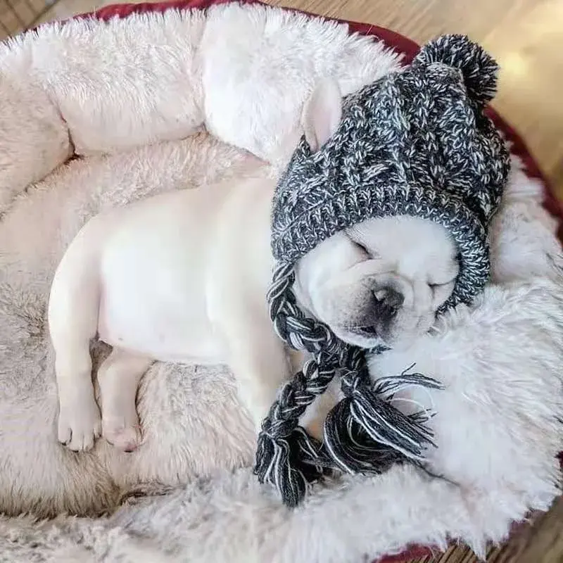Winter Warm Dog Hats Windproof Knitting French Bulldog Hat For Dogs Chihuahua Hat Fluffy Ball Pet Hat Puppy Accessories
