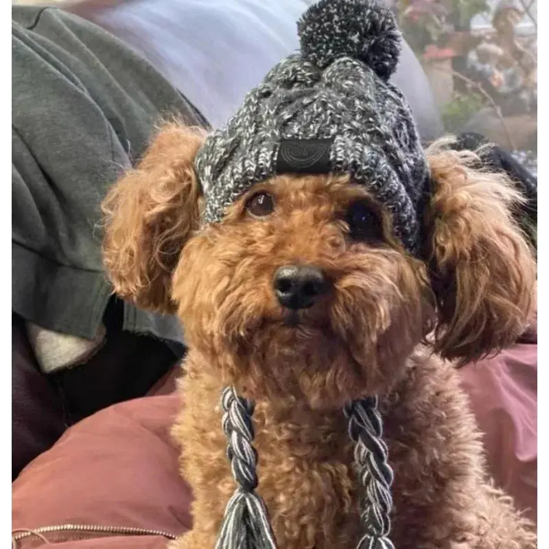 Winter Warm Dog Hats Windproof Knitting French Bulldog Hat For Dogs Chihuahua Hat Fluffy Ball Pet Hat Puppy Accessories