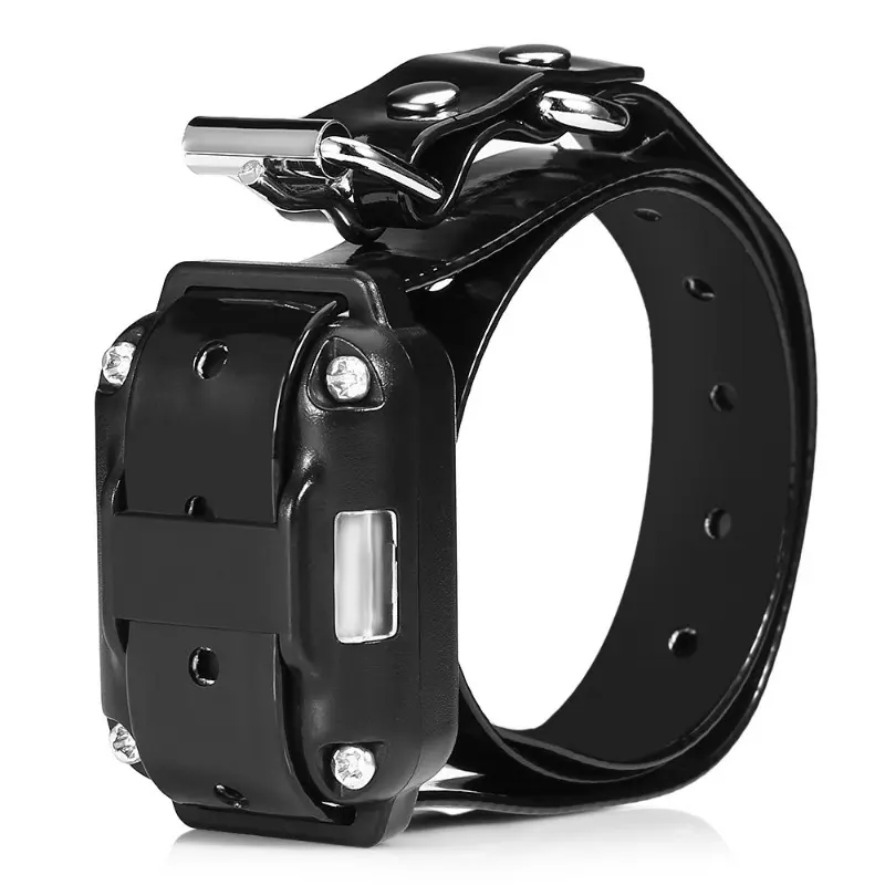 Electric Dog Training Collar Waterproof Dog Bark Collar Pet With Remote Control Rechargeable Anti Barking Device All Size Dogs