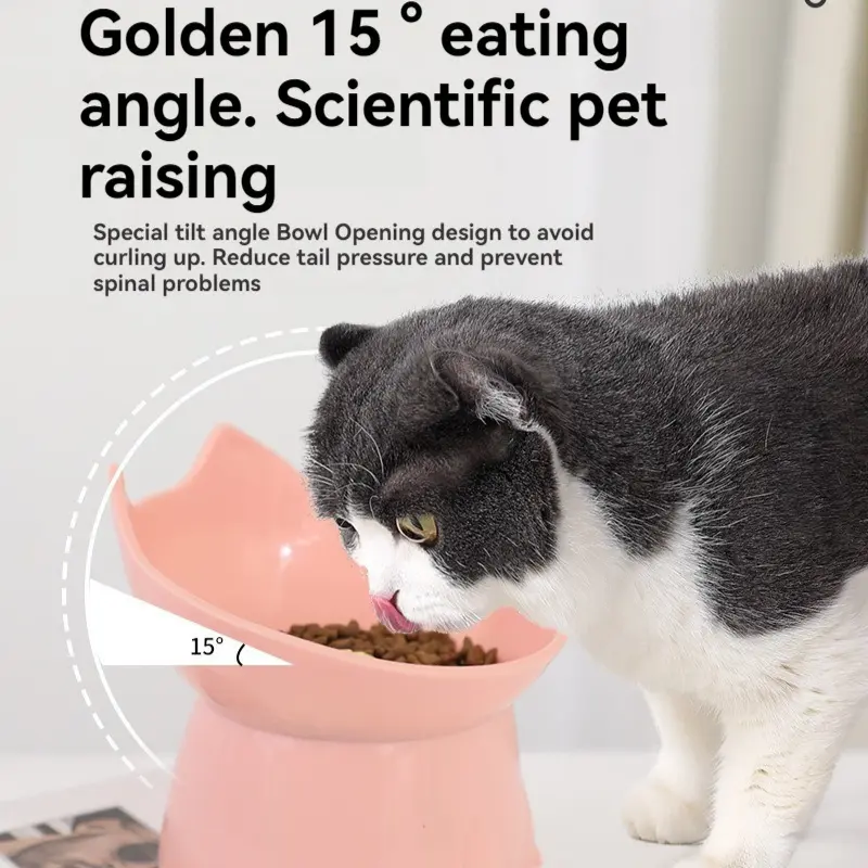 Tilted Cat Food Bowl Elevated Cat Bowl Ergonomic Cat Food Dish Anti Vomiting Raised Cats Food Bowl Non Slip for Cats Dogs