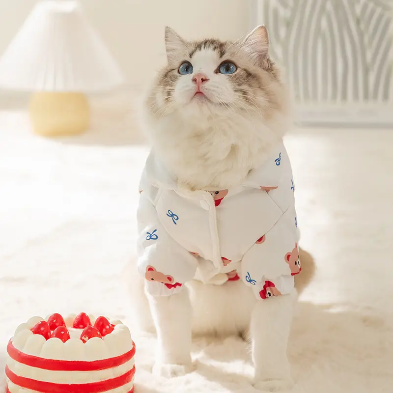 Cute Animal Bear Printed Pet Clothing Winter Dog Cotton Coat Small Dog Teddy Warm Down Coat Cartoon Two legged Dog Clothing