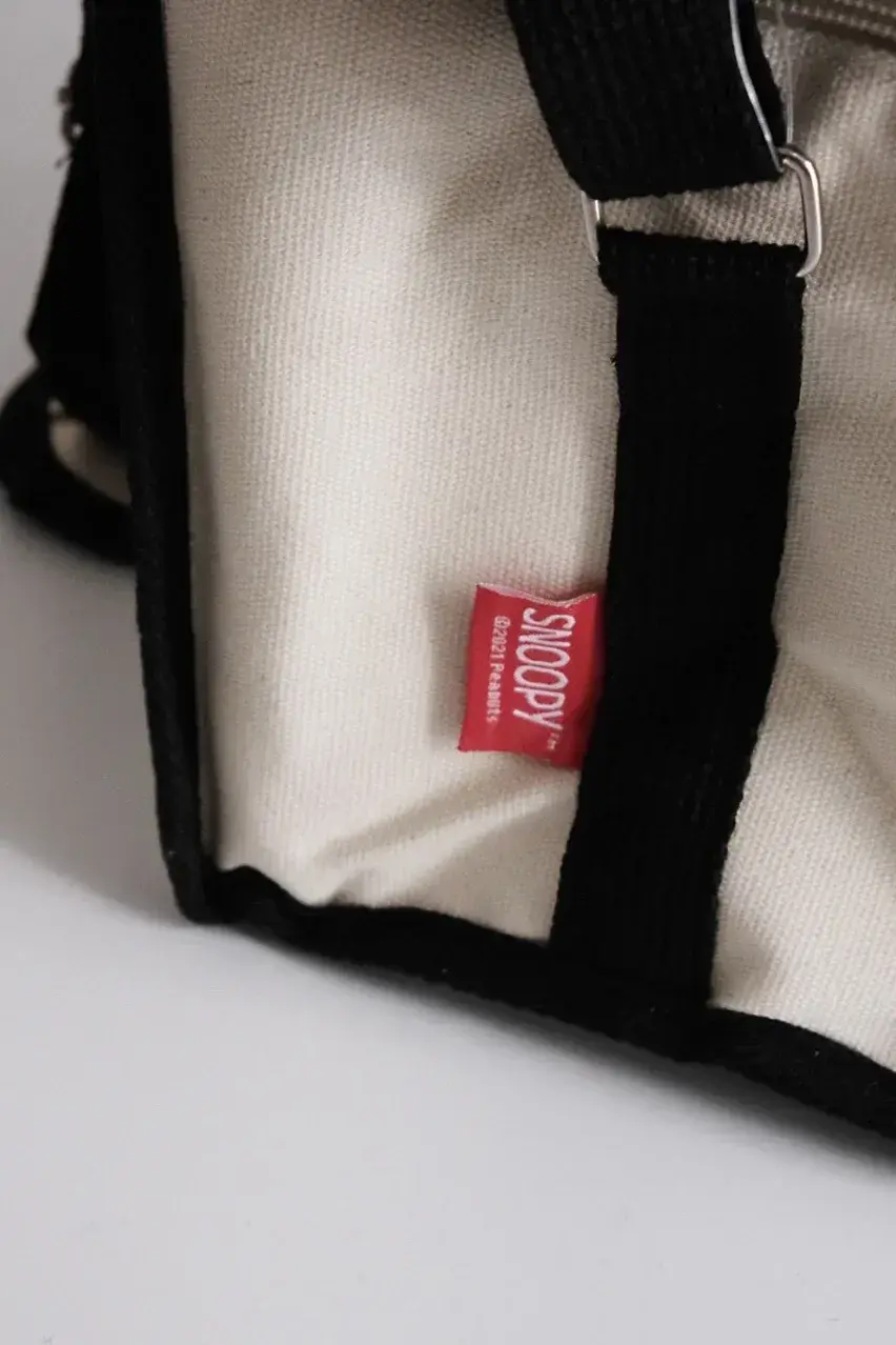 Snoopy Outdoor Picnic Shoulder messenger Bag Cross-body Thermal Insulation Bag Student Cartoon Cute Lunch box Bag storage