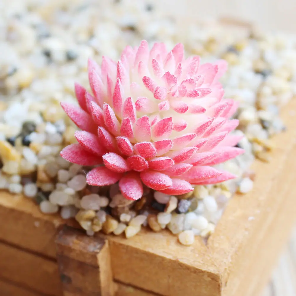 39Styles Red Artificial Succulents Plants DIY Flower Arrangement Accessories Home Garden Decor Fake Plants Desktop Mini Bonsai