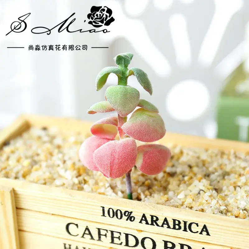 5.5x9cm Small Artificial Succulents Plants Home Bedroom Desktop Mini Bonsai Wedding Christmas Hallowen Party Favors Fake Plants