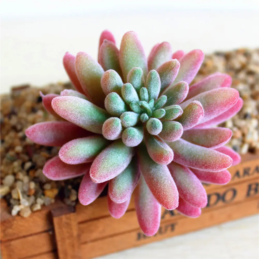 Red Bonsai Artificial Succulent Wedding Christmas Party Decoration Fake Plants Grass Leaves DIY Flower Arrangement Accessories