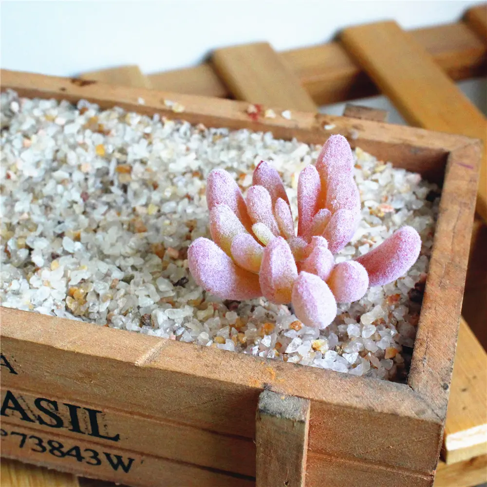 1pc Artificial Plastic Succulent Plants DIY Flower Pants Wall Accessories Fake Plants garden decoration plantas artificiais
