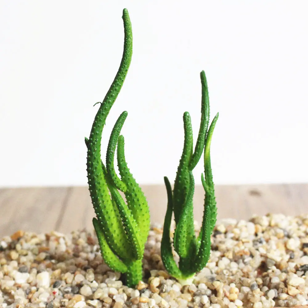 Artificial Succulents Plants PVC Mini Grass Artificial Plants Landscape Fake Flowers Wedding Decoration Bonsai planta artificial