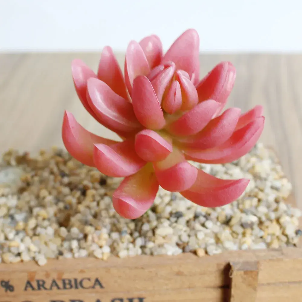 5.5x9cm Flower Head Artificial Succulent Plants DIY Flower Arrangement Accessories Fake Plants Wedding Party Home Garden Decor