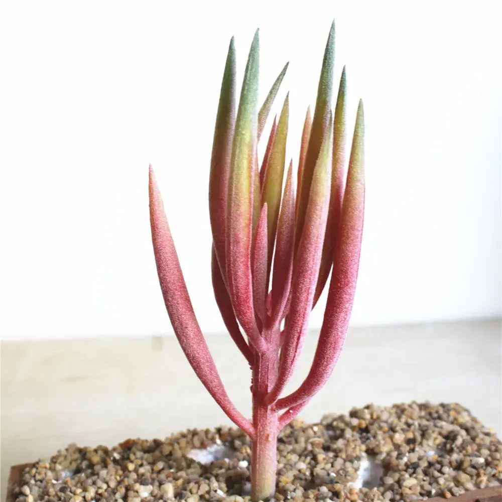 23cm Artificial Succulent Plants DIY Flower Arranging Accessories Home Garden Office Decoration Wedding Party Flower Plants Wall