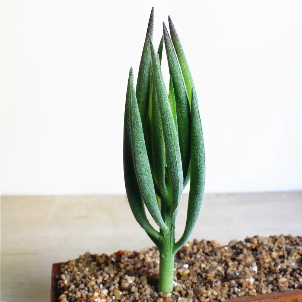 23cm Artificial Succulent Plants DIY Flower Arranging Accessories Home Garden Office Decoration Wedding Party Flower Plants Wall