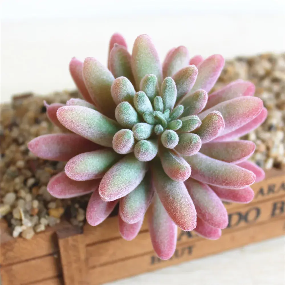 9x9cm Artificial Flower Succulent Plants Floral Arrangement Accessories Fake Plants Home Garden Wedding Party Decoration Bonsai