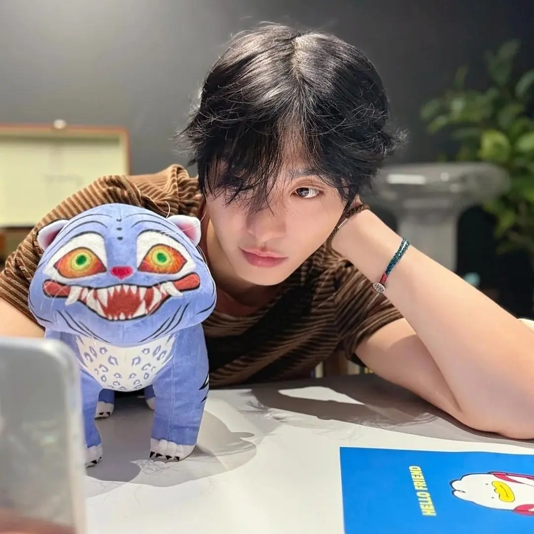 New Kpop Movie Demon Game Hunters Plush Doll 20/25cm Tiger Magpie Hat Bird  Anime Peripheral Stuffed Collect Children Toys Gifts