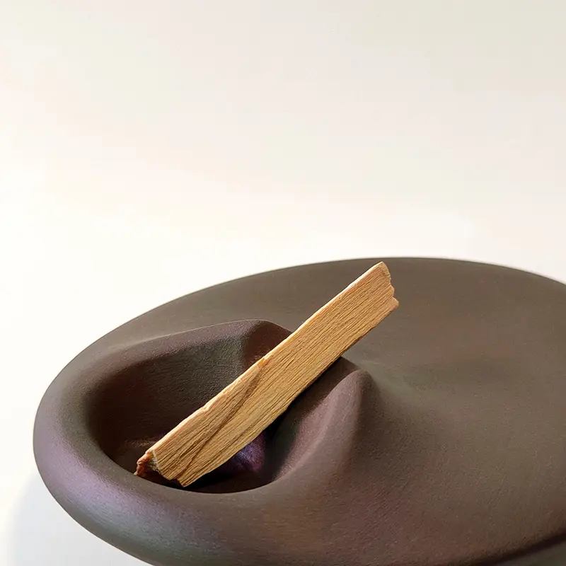 Santo Holder Smudge Bowl Ceramic for Yoga Room Decorative Smudge Ash Catcher for Burning Wooden Cone-Shaped Fragrances