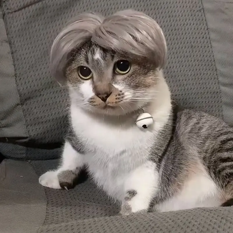 Pet Wigs Cosplay Props Funny Dogs Cats Cross-Dressing Hair Hat Costumes Head Accessories For Halloowen Christmas Pets Supplies