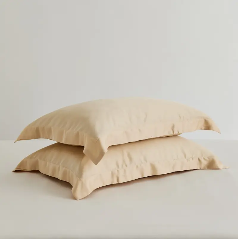 2Pcs 100% Eucalyptus Lyocell Pillowcase Solid Summer Cooling Pillow Cover 48*74cm INS Simple Silky Candy Color Drop Shipping