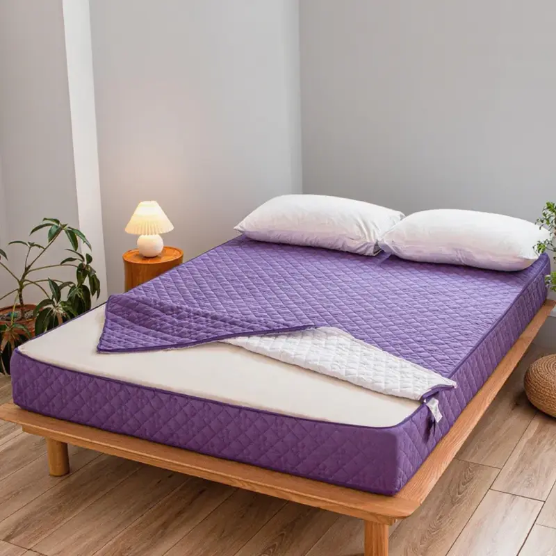 Solid Color Zipper Quilted Mattress Cover King Queen Twin Size Removable Six-sides All-inclusive Anti-mite Bed Protector Cover