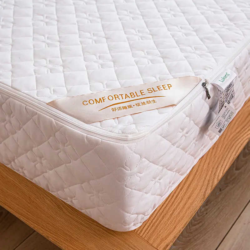 Solid Color Zipper Quilted Mattress Cover King Queen Twin Size Removable Six-sides All-inclusive Anti-mite Bed Protector Cover