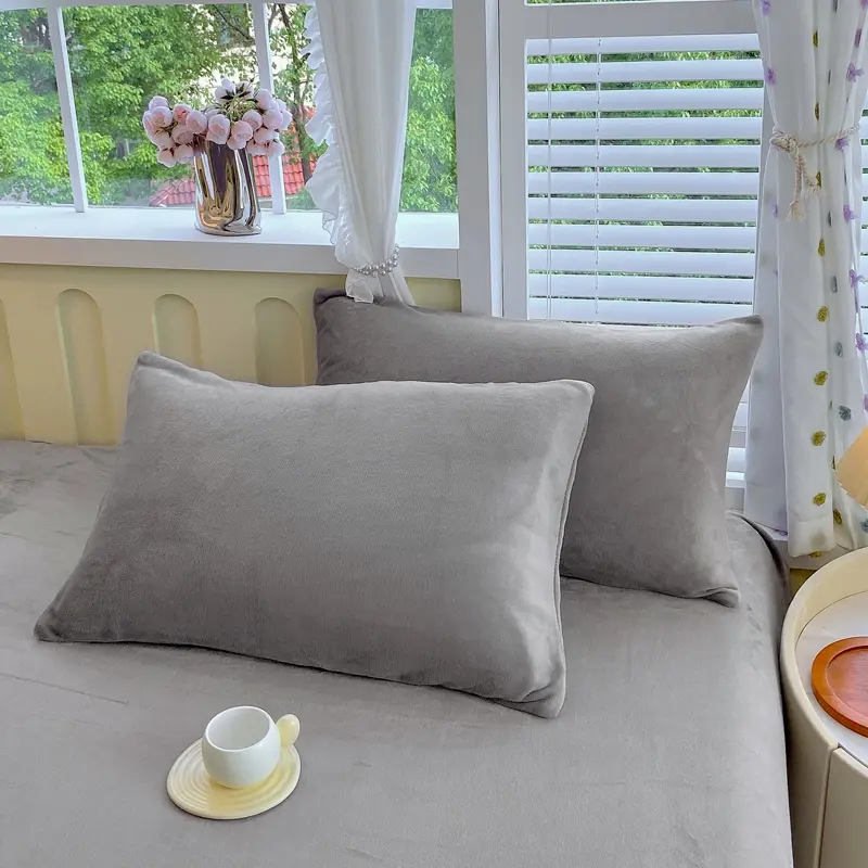2pcs Single Pillowcase Soft Warm Autumn/Winter Crystal Velvet Flannel/Fleece Pillow Cover Solid Coffee Camel 48*74cm No Filling
