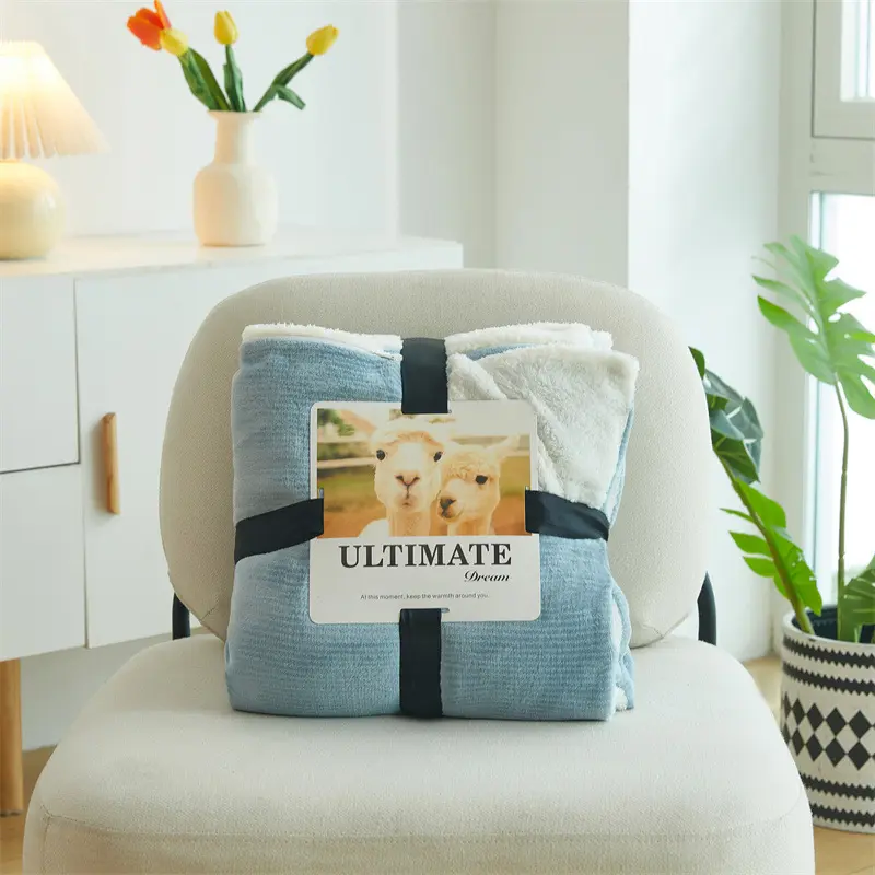 Double Sided Lamb Wool Blanket, Simple Solid Color, Thickened Warm Milk Wool Blanket Multifunctional Cover Blanket, Sofa Blanket