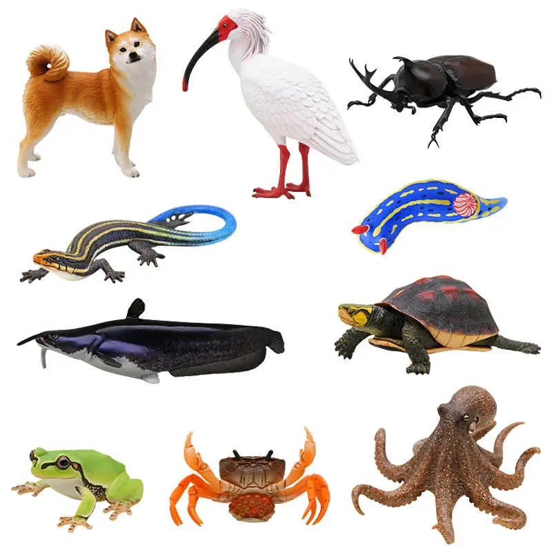 Authentic Ikimon Ntc Japanese Nature Creatures 2 Chinese Octopus Shiba Inu Rain Frog Mini Figurine Animal Model Figuirne Toys