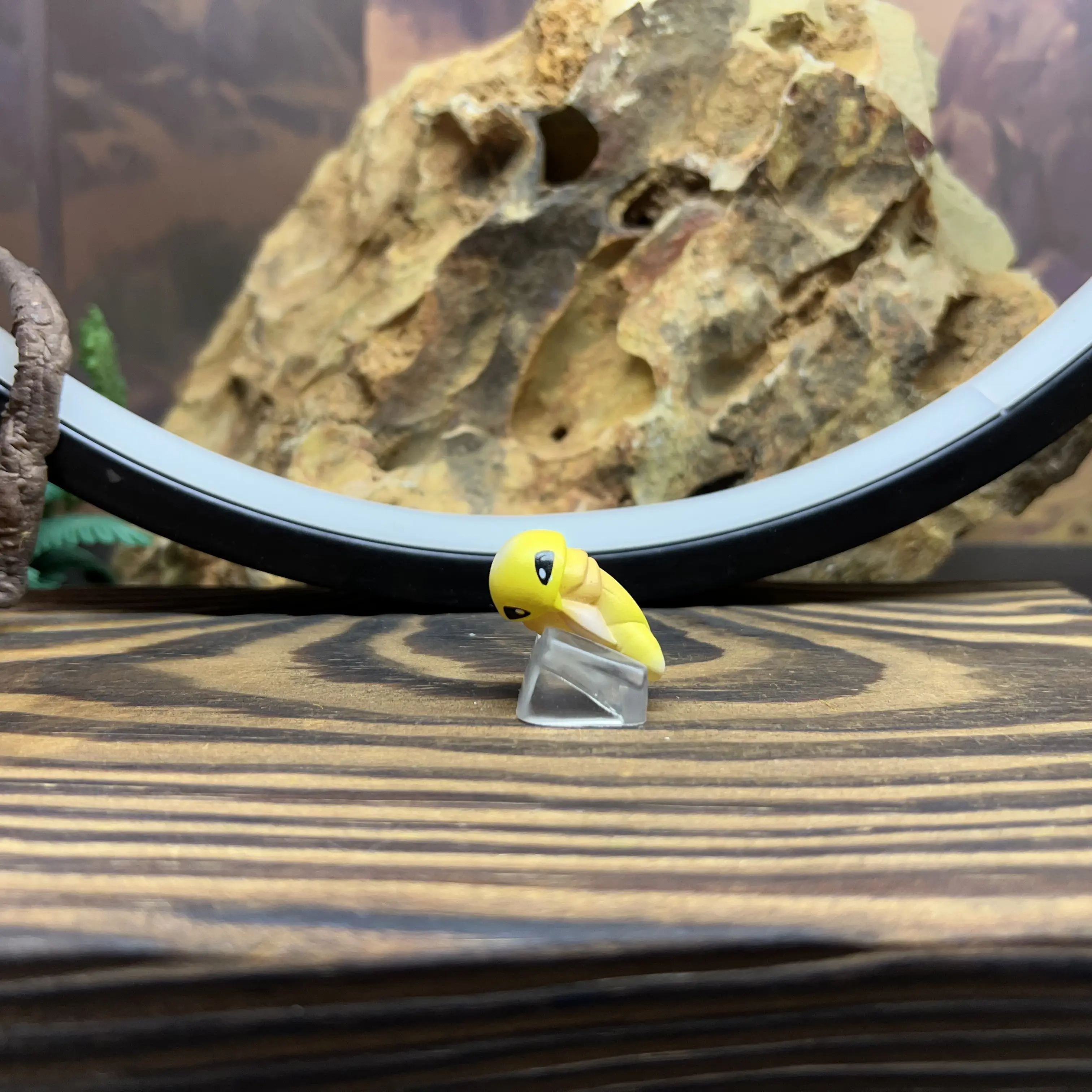 New Hot Genuine Anime Proportion World Limited Beedrill Metapod 1/20 Rare Limited Model Toys Child Gifts
