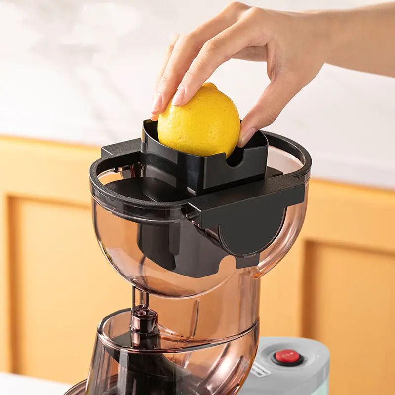 Large Capacity Portable Household Electric Juicer Blender Vegetable and Fruit Juicer Multifunctional Juicer Juicer Extractor
