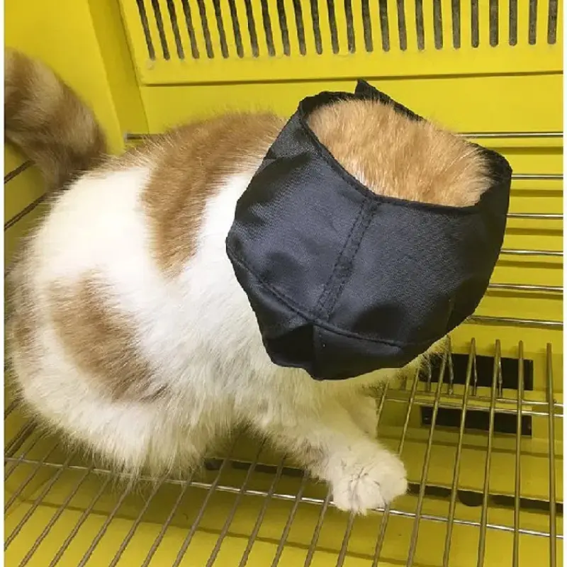 Beauty Eye Mask Cat Accessories Relieve Eye Fatigue Breathable Lightweight Senseless Skin Care Pet Products Bathing Supplies