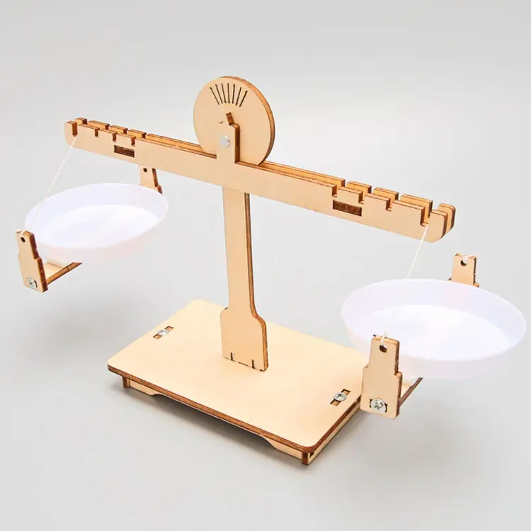 Balance Scales DIY Physics Children Educational Manual Toys STEM Experiment Hands-On Ability Tools Gifts