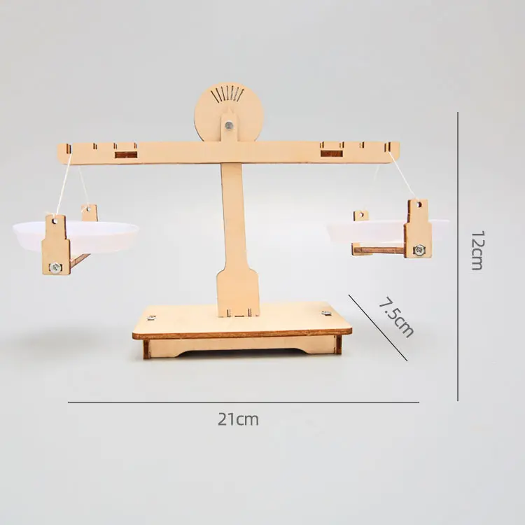 Balance Scales DIY Physics Children Educational Manual Toys STEM Experiment Hands-On Ability Tools Gifts