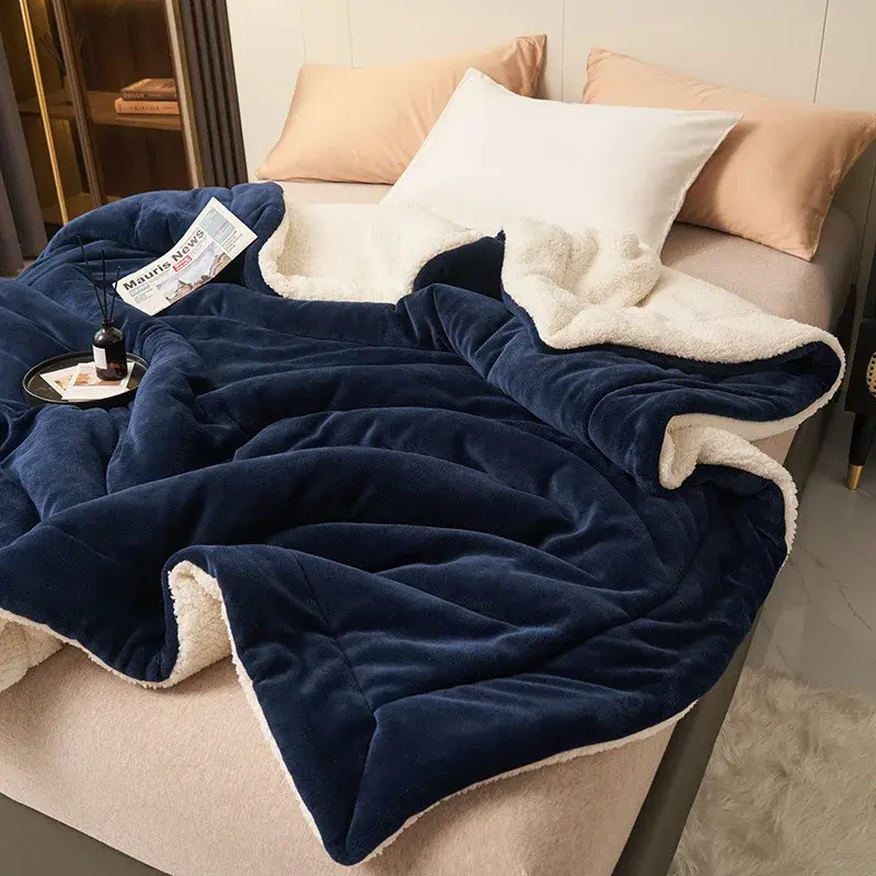 Imitation Lambswool Autumn Winter Warm Blanket Mechanical Wash Double Layer Queen Blankets for Beds Super Soft Plush Comfortable