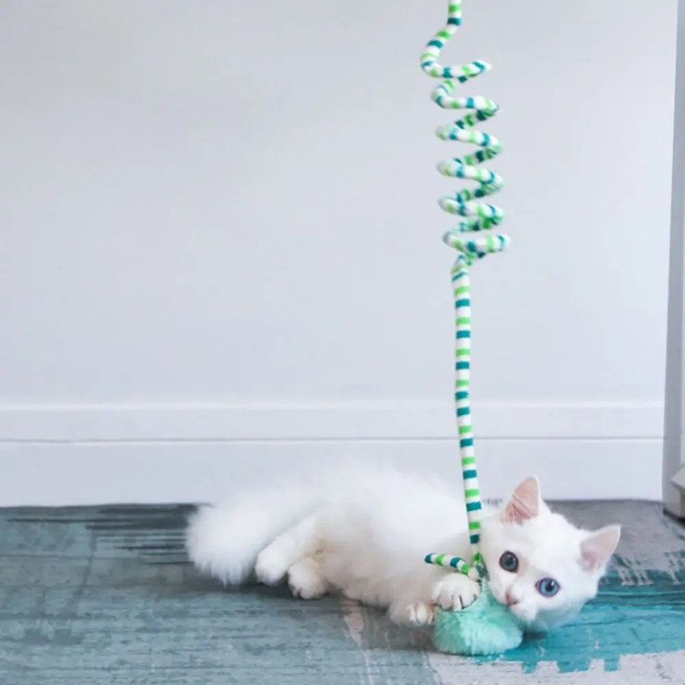 Sucker Rope Cat Toys With Bell Bite Resistant Bouncy Plush Ball Cat Toy Cat Playing Interactive Relieve Boredom