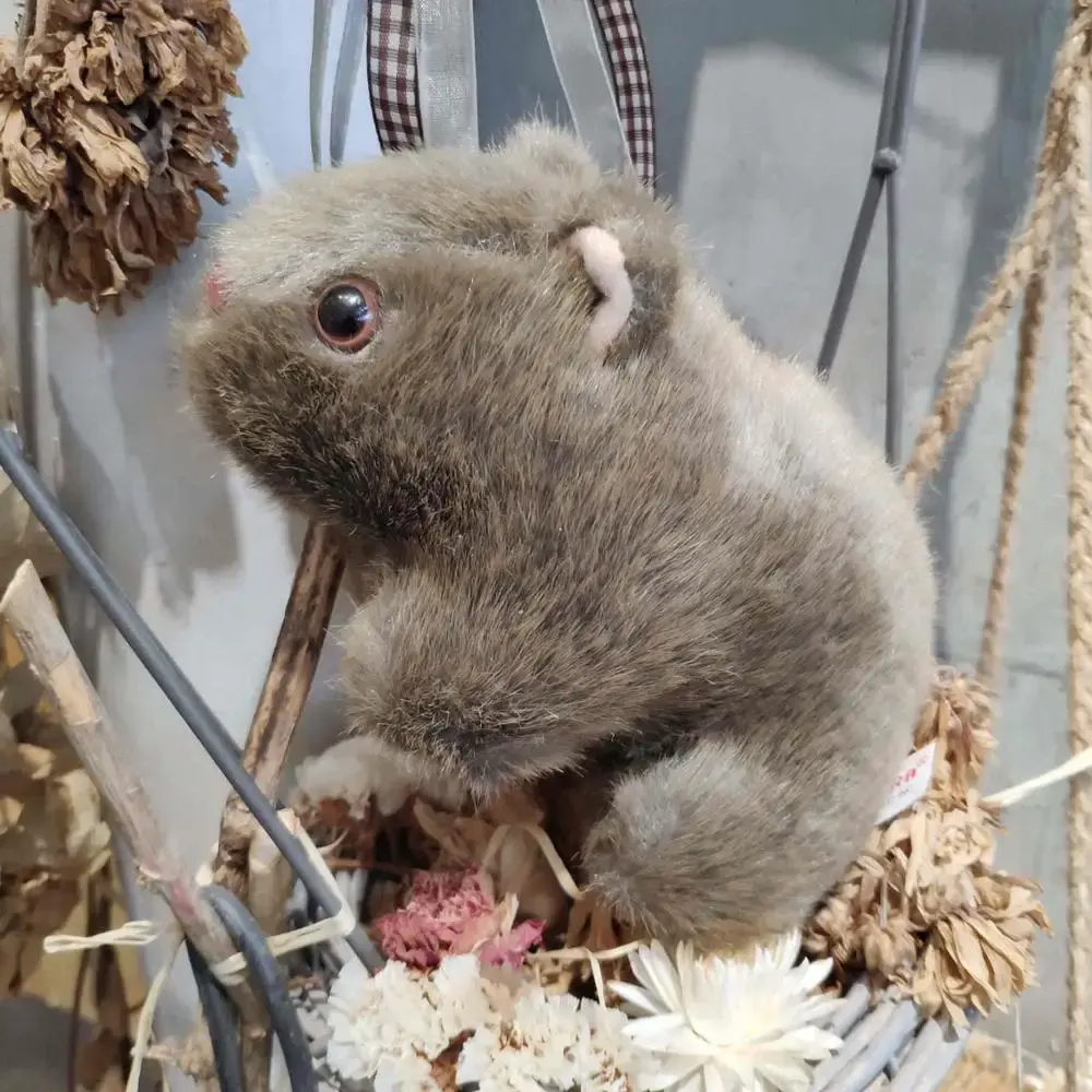Animal 18-28cm Simulation Wombat Plush Toys Stuffed Wild  Guinea Pig Cavia Porcellus Mouse Dolls for Gifts