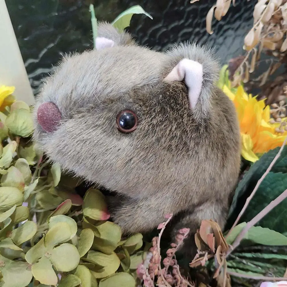 Animal 18-28cm Simulation Wombat Plush Toys Stuffed Wild  Guinea Pig Cavia Porcellus Mouse Dolls for Gifts